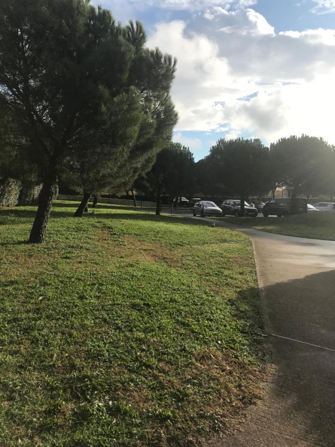 Appartement Entier T2 Avec Piscine Paradis Entierement Meuble Proche Metro Toulouse Buitenkant foto